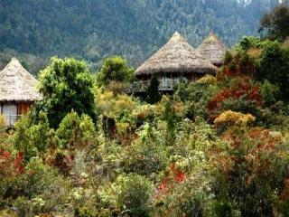 Baliem Valley Resort Wamena 外观 照片